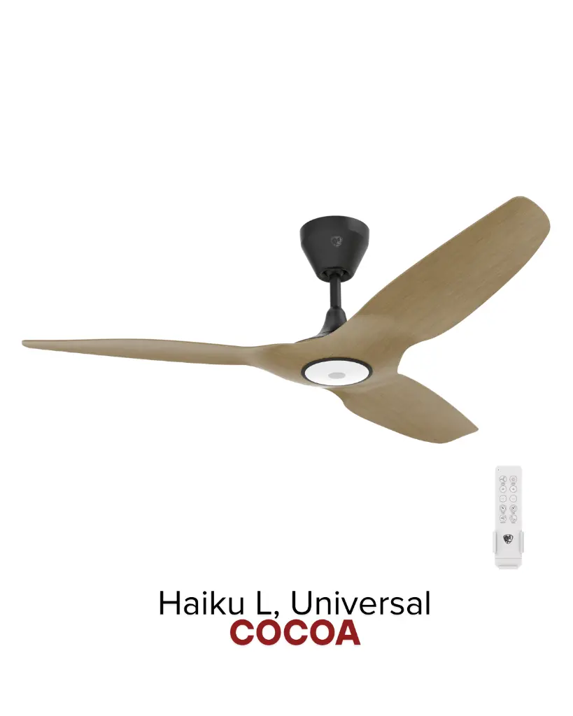 2025-Haiku-7.webp