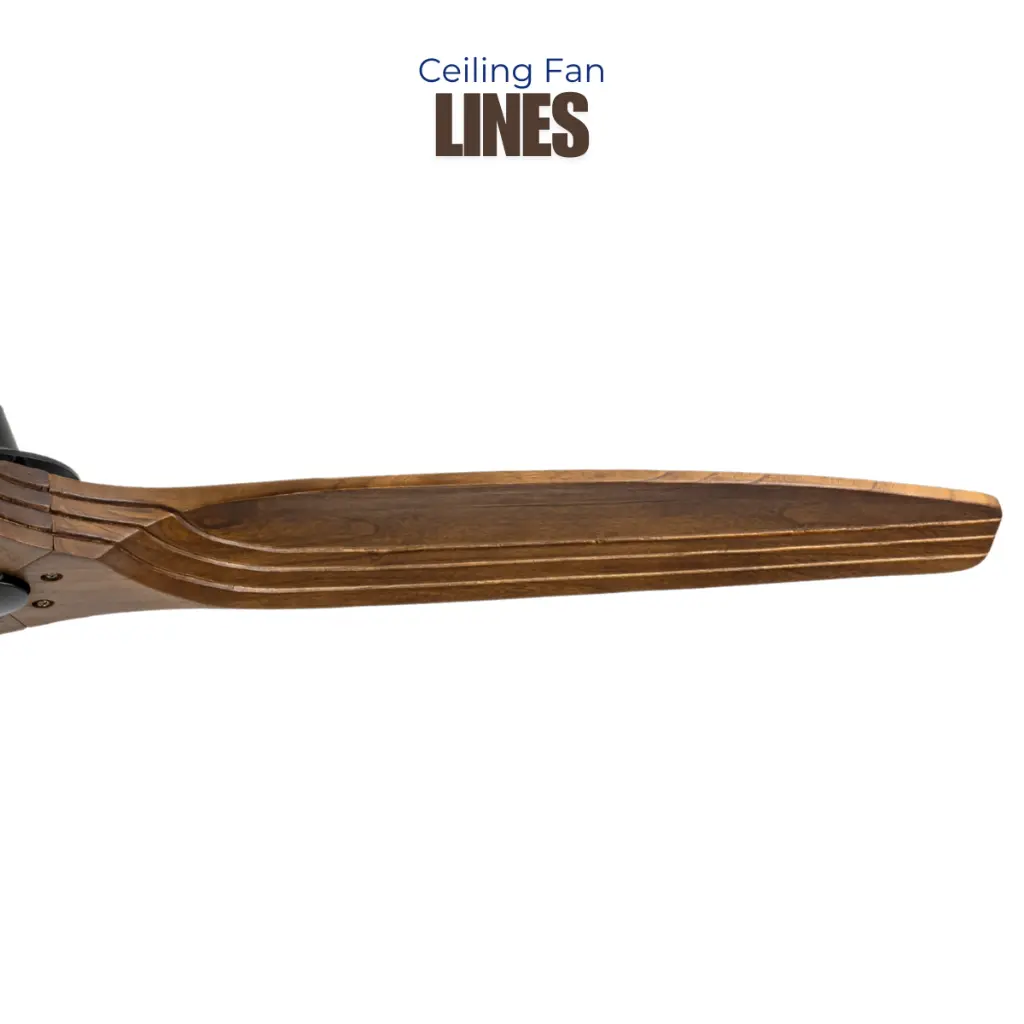LINES-1home-web-2025.webp