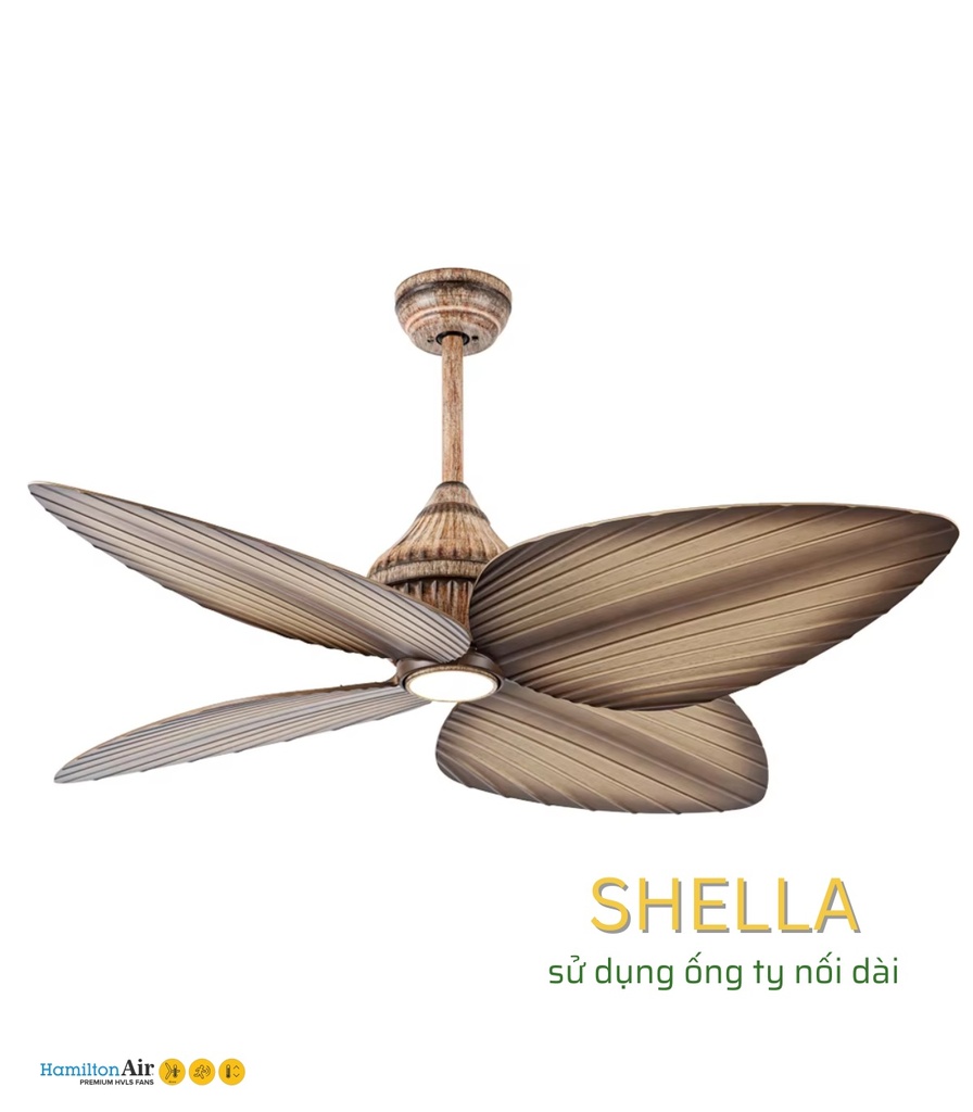 SHELLA 52